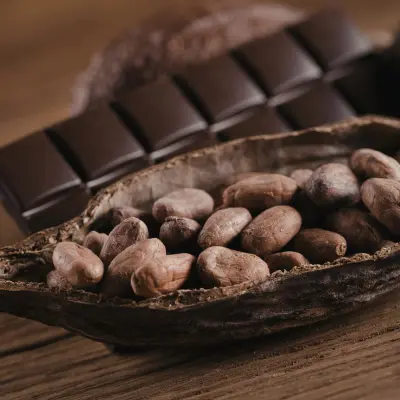 Precision in Every Bite